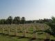 Beersheba War Cemetery in Palestine (now in Israel). The burial place of 13/368, Lieutenant William Henwood JOHNS (1891-1917), New Zealand Mounted Rifles, NZEF.