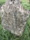 Headstone of Ann TREWIN (1806-1879)