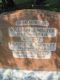 Headstone of William John WALTER (1868-1944); his wife Frances Elizabeth (m.n. BLEWETT, 1866-1948) and their son Cecil F. WALTER (1887-1888).